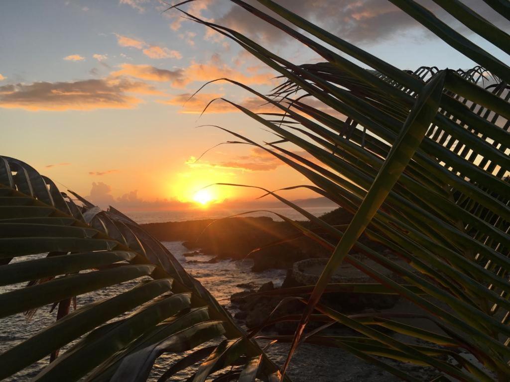 Forever Cottage Robins Bay Extérieur photo